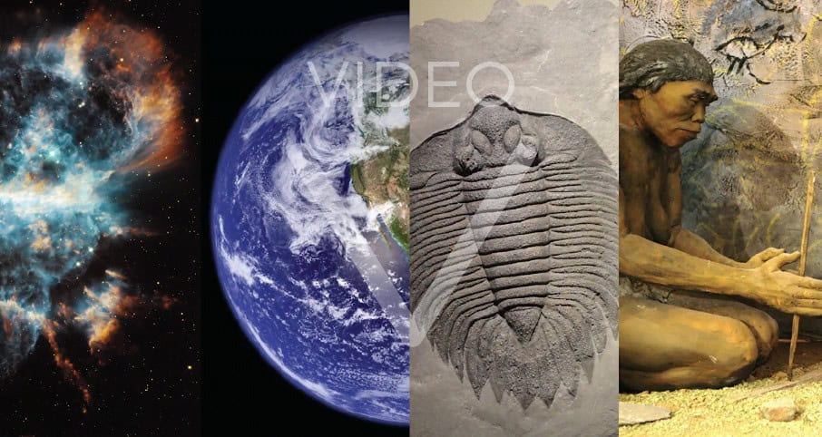 To Educate Eco-sapiens