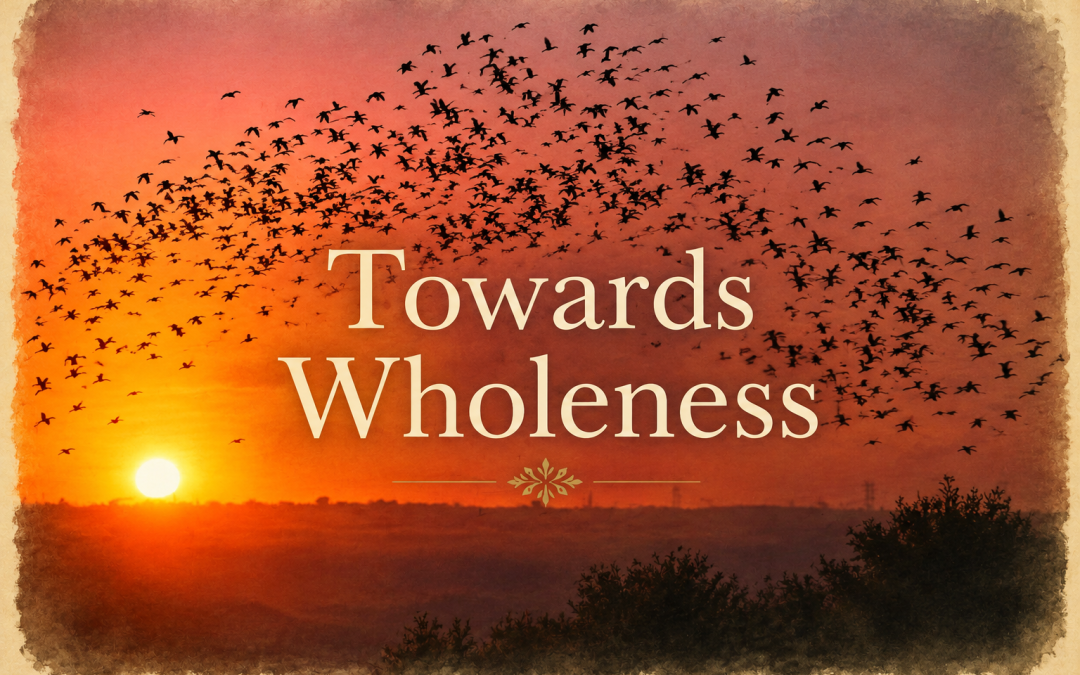 Towards Wholeness by Pauline Matsis
